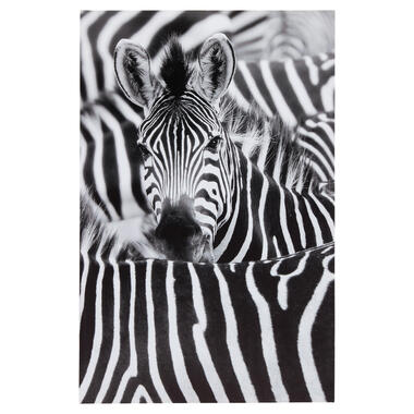 Canvas Zebra Zwart product