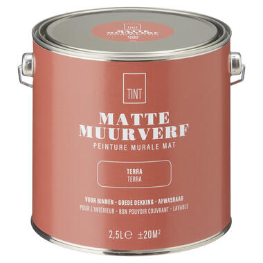 Muurverf Mat Terra 2.5 l product