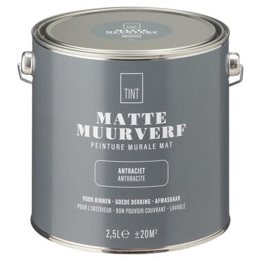 Muurverf Mat Antraciet 2.5 l product