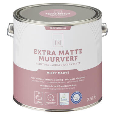 Muurverf Professional Misty Mauve 2.5 l product