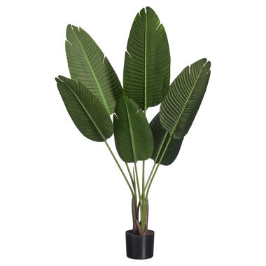 Kunstplant Strelitzia Groen product