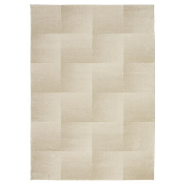 Vloerkleed Anvik Beige 160x230 cm product