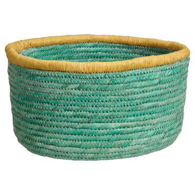 Mand Guston Groen - product