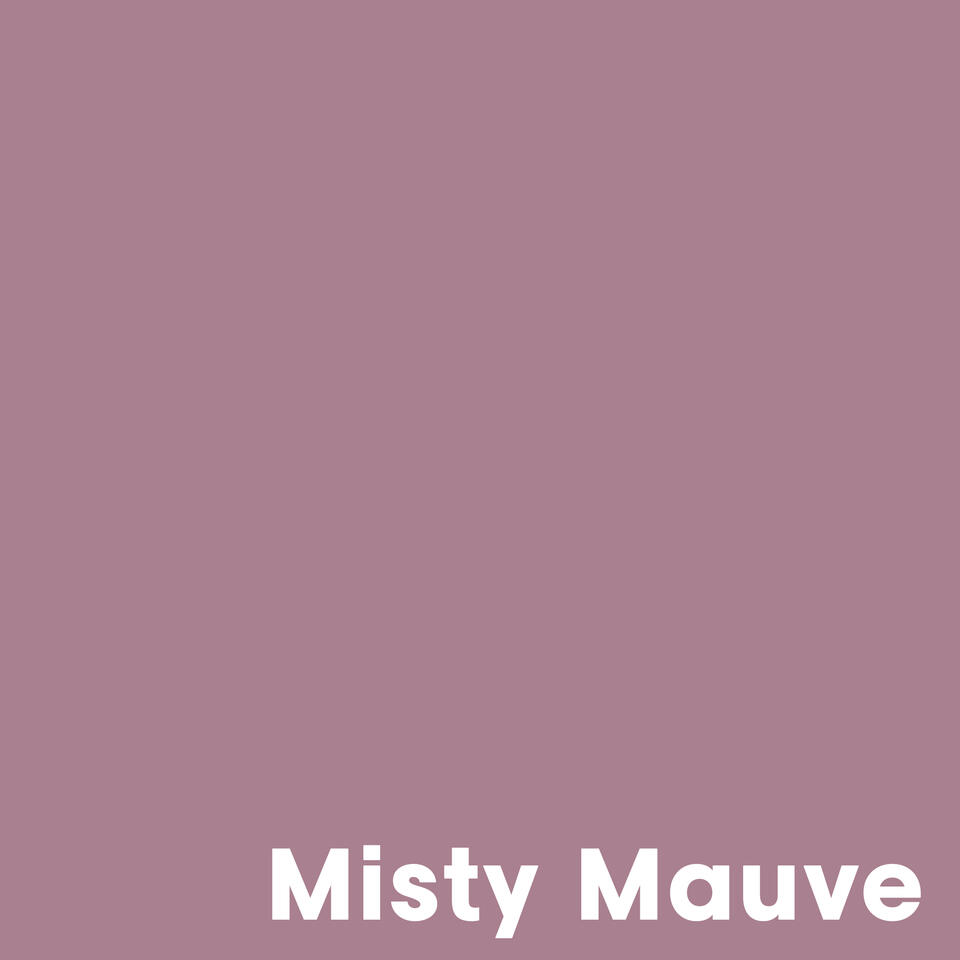Muurverf Professional Misty Mauve - 1 l