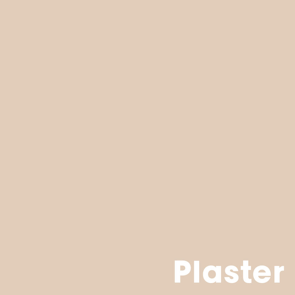 Muurverf Professional Plaster - 2.5 l