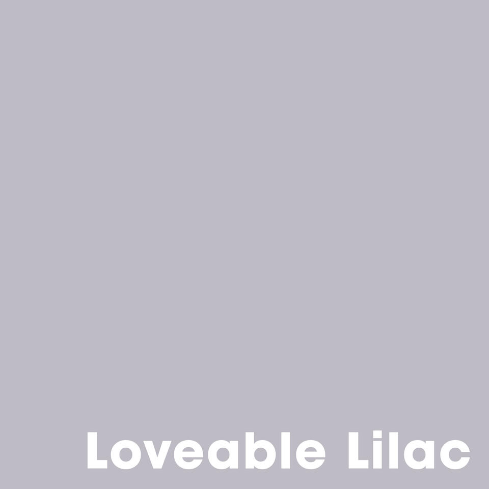 Muurverf Professional Loveable Lilac - 1 l