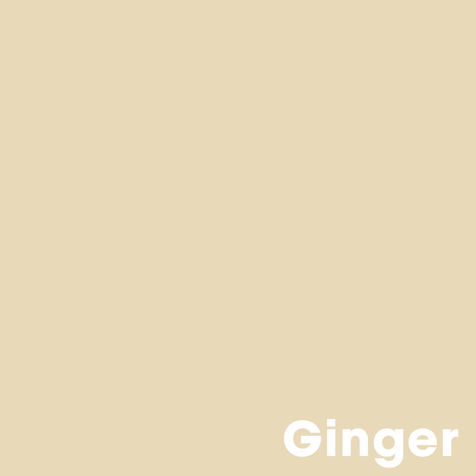 Muurverf Professional Ginger - 2.5 l