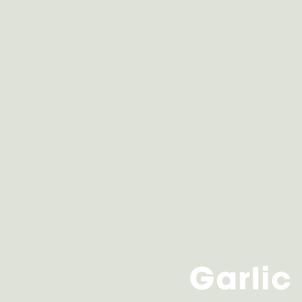 Muurverf Professional Garlic - 2.5 l