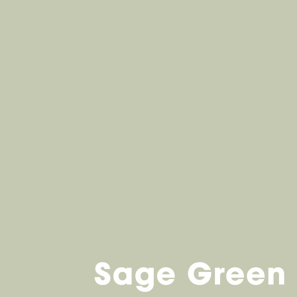 Muurverf Professional Sage Green - 2.5 l