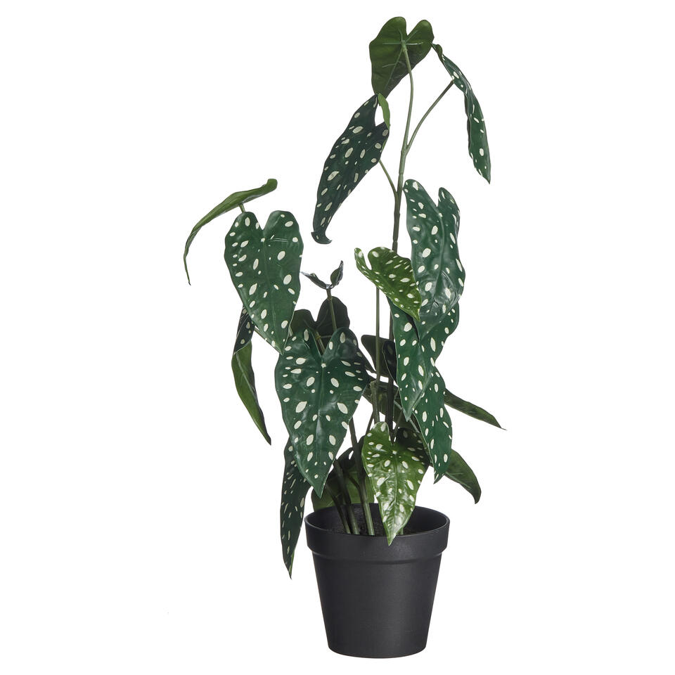 Kunstplant Begonia Groen